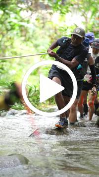 BIB:  <button type="button" onclick="openModal(26820639)" class="btn btn-primary btn-sm float-right" data-toggle="modal" data-target=".modal-high-quality">
                <i class="fa fa-download"></i> Download
                </button>